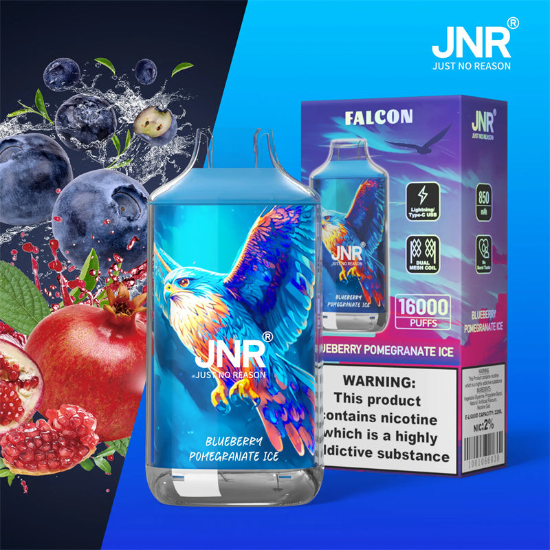 JNR Falcon 16K Blueberry Pomegranate Ice Geschmack