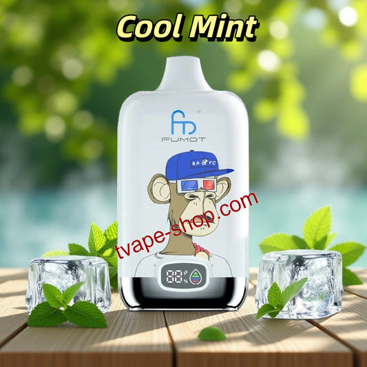RandM 12000 Cool Mint