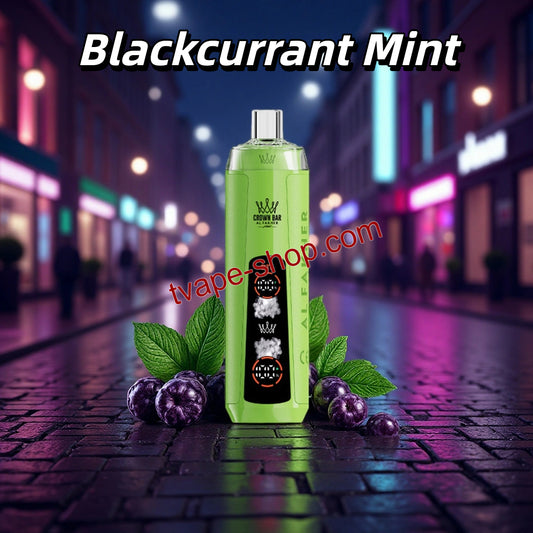 Al Fakher BlackCurrant Mint Geschmack Crystal 8000 puffs 