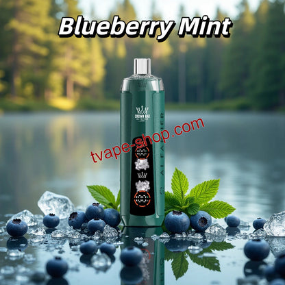 Al Fakher Blueberry Mint Geschmack Crown Bar 8000 Vape 