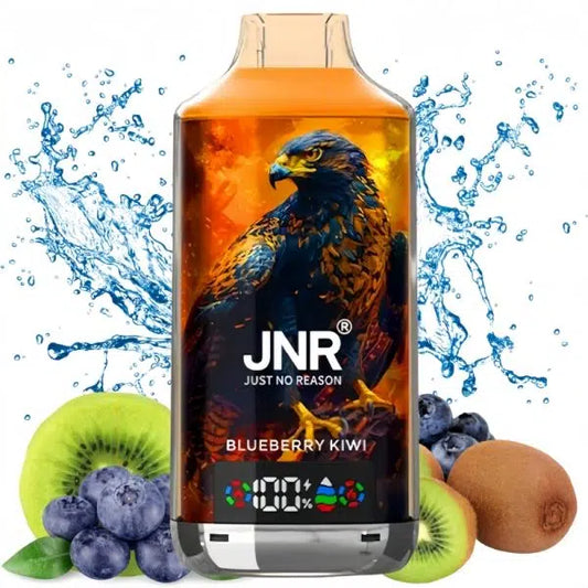 JNR Vape Falcon X 18000 Blueberry Kiwi Geschmack