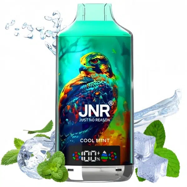 JNR Falcon X 18000 Cool Mint Geschmack