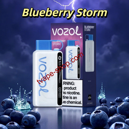 Blueberry Storm Vozol 12K Vape 