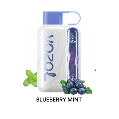 Vozol Star 40000 Puffs Blueberry Mint