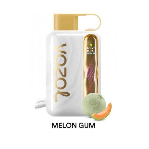 SiLC Dual Mesh Zerstäubungstechnologie Vozol Star 40000 Vape Melon Gum