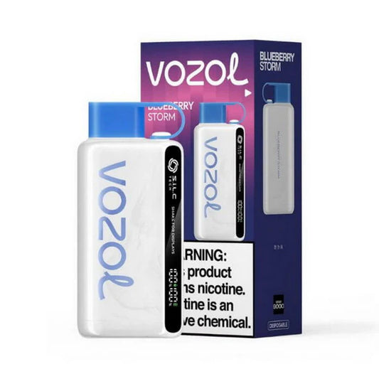 Vozol 12000 Züge Einweg Vape Blueberry Storm