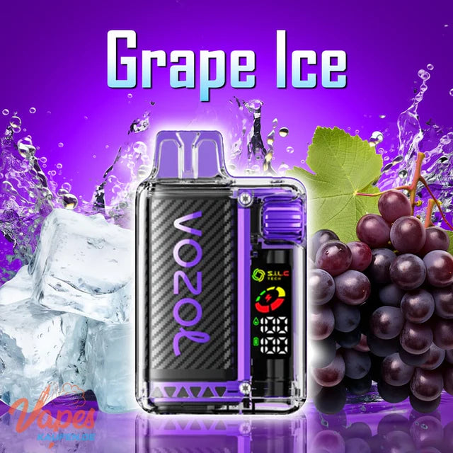 20000 Züge Grape Ice Vozol Vista 24 ml E-Liquid