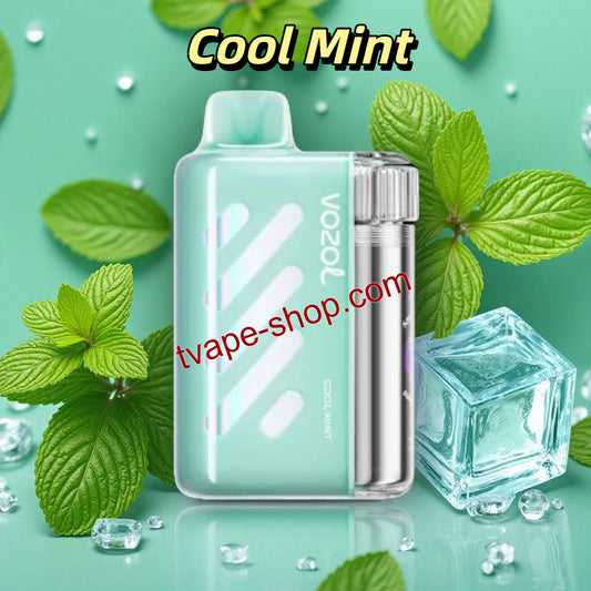 Cool Mint Vozol Vista 40000