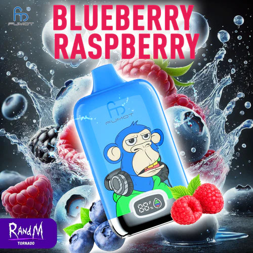 RANDM 12K Digital Box Einweg E Zigarette Blueberry Raspberry