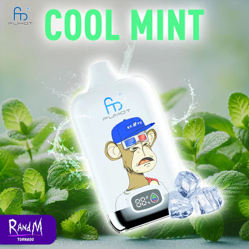 RandM 12000 Züge Vape Cool Mint
