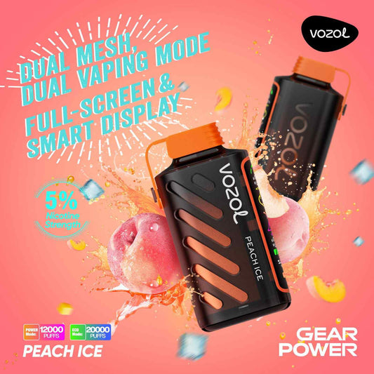 VOZOL Gear Power 20000 Züge Peach Ice
